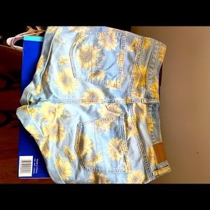 American Eagle shorts